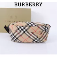 Burberry AAA Quality Belt Bags #1273381