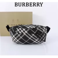 Burberry AAA Quality Belt Bags #1273383