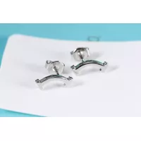 Cheap Tiffany Earrings For Women #1280083 Replica Wholesale [$27.00 USD] [ITEM#1280083] on Replica Tiffany Earrings