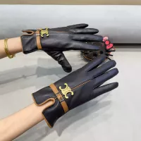 Cheap Celine Gloves For Women #1287773 Replica Wholesale [$45.00 USD] [ITEM#1287773] on Replica Celine Gloves