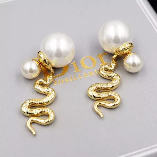 Christian Dior Earrings For Women #1291057