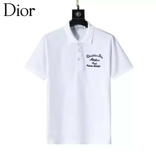 Christian Dior T-Shirts Short Sleeved For Men #1293619