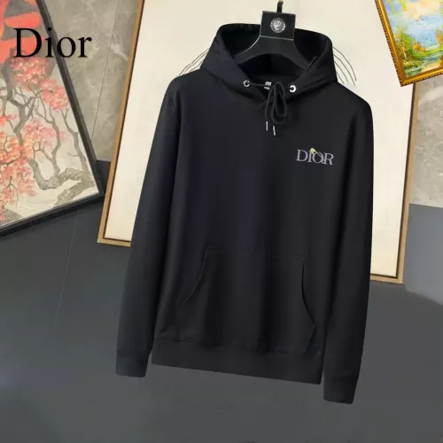 Christian Dior Hoodies Long Sleeved For Men #1293930