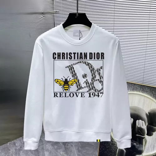 Christian Dior Hoodies Long Sleeved For Men #1293968