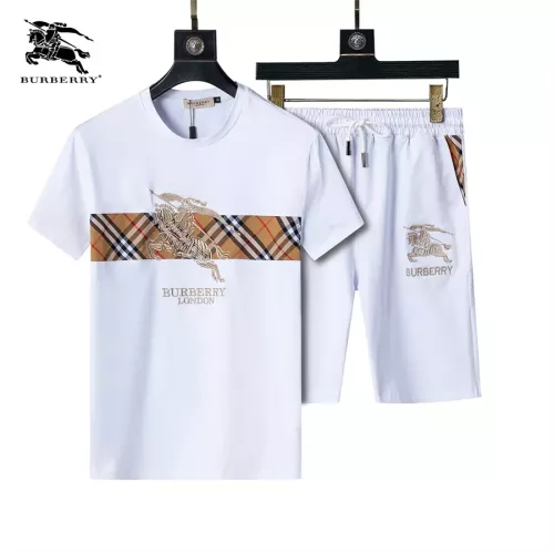 Burberry Tracksuits Short Sleeved For Men #1294568