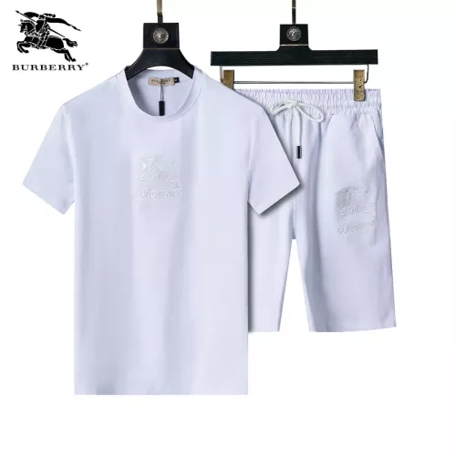 Burberry Tracksuits Short Sleeved For Men #1294570