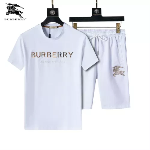 Burberry Tracksuits Short Sleeved For Men #1294572