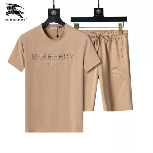 Burberry Tracksuits Short Sleeved For Men #1294573