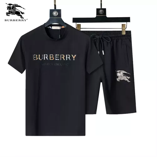 Burberry Tracksuits Short Sleeved For Men #1294574