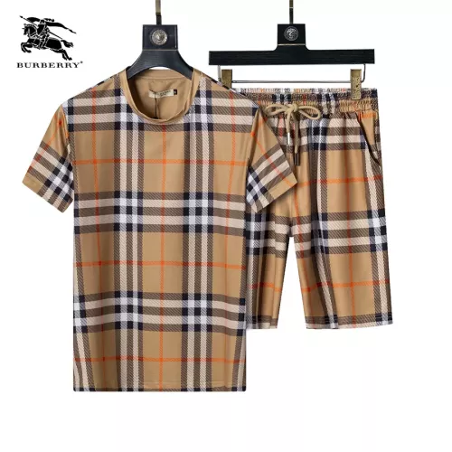 Burberry Tracksuits Short Sleeved For Men #1294584