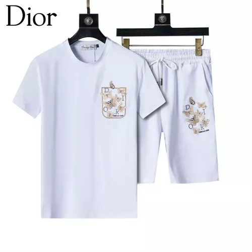 Christian Dior Tracksuits Short Sleeved For Men #1294611