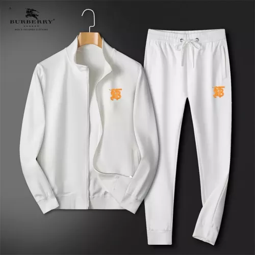 Burberry Tracksuits Long Sleeved For Men #1297171