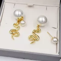 Cheap Christian Dior Earrings For Women #1291057 Replica Wholesale [$25.00 USD] [ITEM#1291057] on Replica Christian Dior Earrings