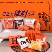 Cheap Hermes Cushion #1293520 Replica Wholesale [$41.00 USD] [ITEM#1293520] on Replica Hermes Pillows