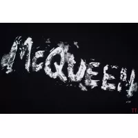 Cheap Alexander McQueen T-shirts Short Sleeved For Unisex #1295802 Replica Wholesale [$32.00 USD] [ITEM#1295802] on Replica Alexander McQueen T-shirts