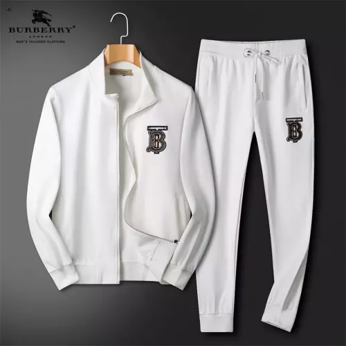 Burberry Tracksuits Long Sleeved For Men #1298748