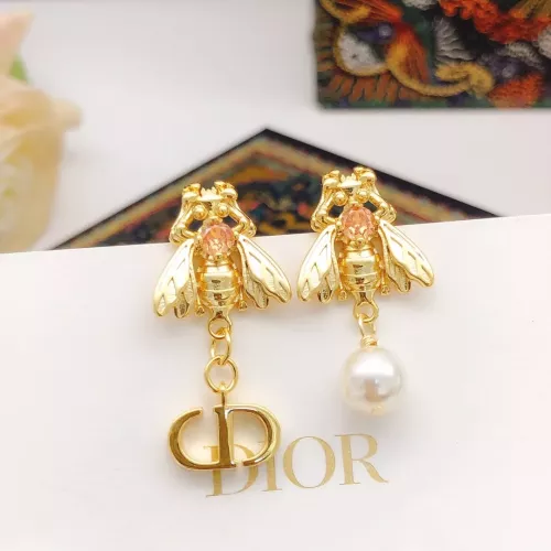 Christian Dior Earrings For Women #1301604