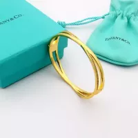 Cheap Tiffany Bracelets #1302252 Replica Wholesale [$34.00 USD] [ITEM#1302252] on Replica Tiffany Bracelets