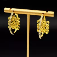 Cheap LOEWE Earrings For Women #1302284 Replica Wholesale [$25.00 USD] [ITEM#1302284] on Replica LOEWE Earrings