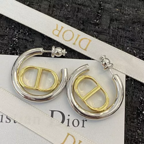 Christian Dior Earrings For Women #1327306