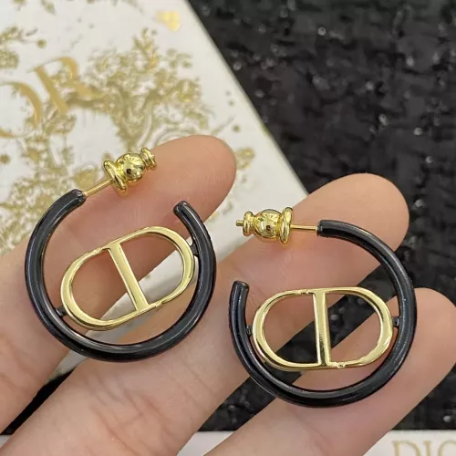 Christian Dior Earrings For Women #1327311