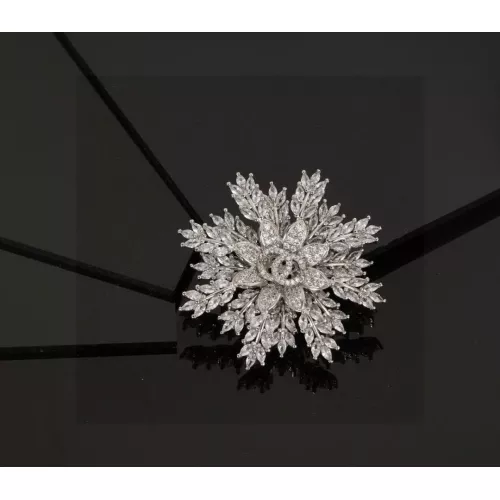 Chanel Brooches For Women #1327358