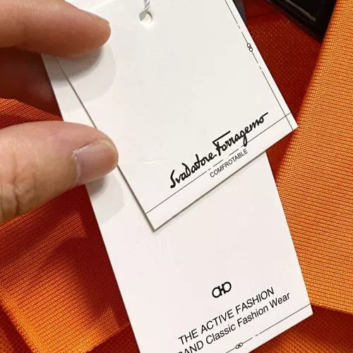 Cheap Salvatore Ferragamo T-Shirts Short Sleeved For Men #1328886 Replica Wholesale [$100.00 USD] [ITEM#1328886] on Replica Salvatore Ferragamo T-Shirts