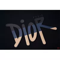 Cheap Christian Dior T-Shirts Short Sleeved For Unisex #1323241 Replica Wholesale [$32.00 USD] [ITEM#1323241] on Replica Christian Dior T-Shirts