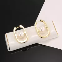 Cheap Christian Dior Earrings For Women #1327352 Replica Wholesale [$27.00 USD] [ITEM#1327352] on Replica Christian Dior Earrings