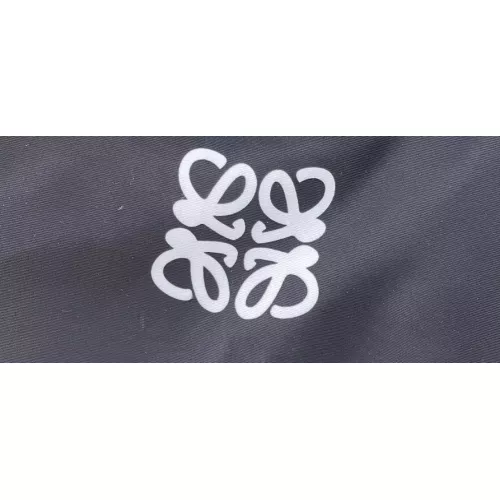 Cheap LOEWE Bathing Suits For Women #1332157 Replica Wholesale [$45.00 USD] [ITEM#1332157] on Replica LOEWE Bathing Suits