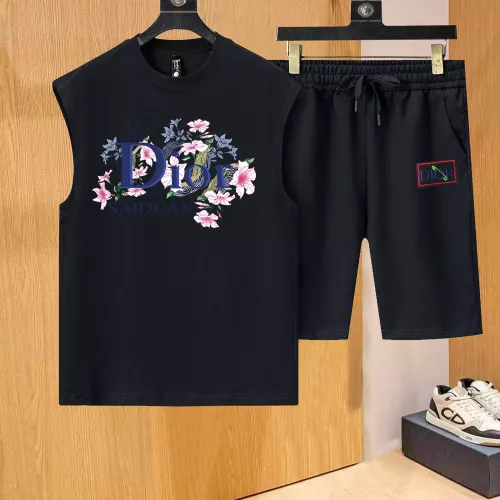 Christian Dior Tracksuits Sleeveless For Men #1335137