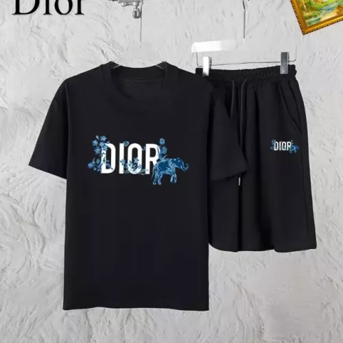 Christian Dior Tracksuits Short Sleeved For Men #1336098