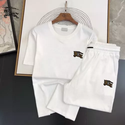 Burberry Tracksuits Short Sleeved For Men #1336105