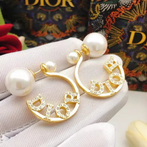 Christian Dior Earrings For Women #1337375