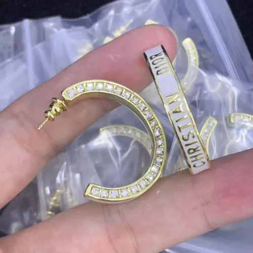Christian Dior Earrings For Women #1337815