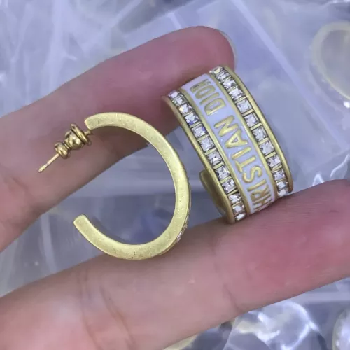 Christian Dior Earrings For Women #1337818