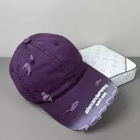 Cheap Alexander Wang Caps #1333374 Replica Wholesale [$25.00 USD] [ITEM#1333374] on Replica Alexander Wang Caps