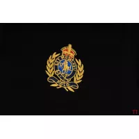 Cheap Ralph Lauren Polo T-Shirts Short Sleeved For Men #1335465 Replica Wholesale [$45.00 USD] [ITEM#1335465] on Replica Ralph Lauren Polo T-Shirts