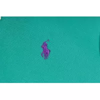Cheap Ralph Lauren Polo T-Shirts Short Sleeved For Women #1335998 Replica Wholesale [$39.00 USD] [ITEM#1335998] on Replica Ralph Lauren Polo T-Shirts