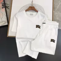 Cheap Burberry Tracksuits Short Sleeved For Men #1336105 Replica Wholesale [$48.00 USD] [ITEM#1336105] on Replica Burberry Tracksuits