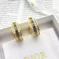 Cheap Christian Dior Earrings For Women #1336855 Replica Wholesale [$38.00 USD] [ITEM#1336855] on Replica Christian Dior Earrings