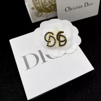 Cheap Christian Dior Earrings For Women #1338187 Replica Wholesale [$25.00 USD] [ITEM#1338187] on Replica Christian Dior Earrings