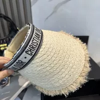 Cheap Christian Dior Caps #1339179 Replica Wholesale [$29.00 USD] [ITEM#1339179] on Replica Christian Dior Caps