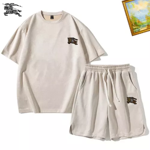 Burberry Tracksuits Short Sleeved For Men #1342414