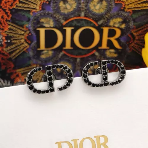 Christian Dior Earrings For Women #1344412
