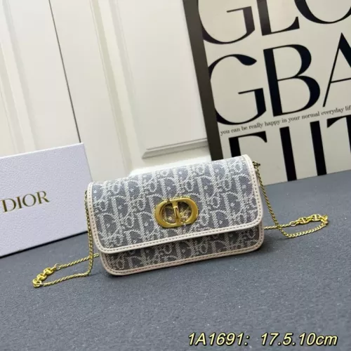 Christian Dior AAA Quality Messenger Bags For Women #1344673