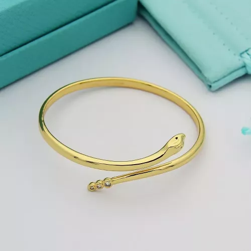 Tiffany Bracelets #1345350