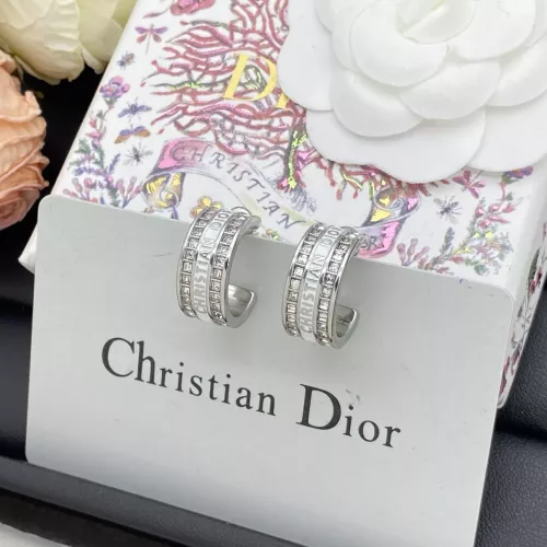 Christian Dior Earrings For Women #1345730