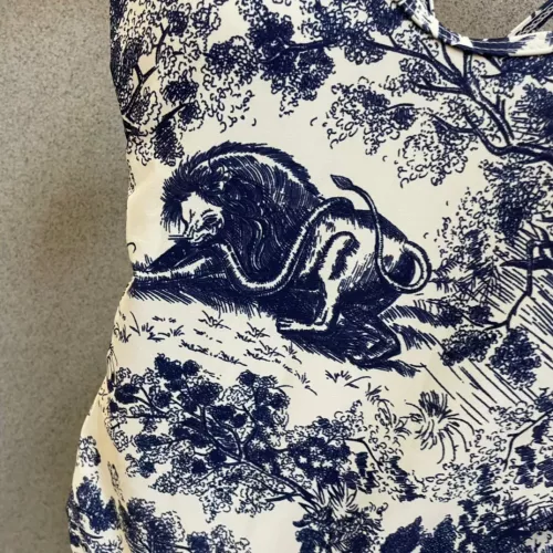 Cheap Christian Dior Bathing Suits For Women #1349536 Replica Wholesale [$38.00 USD] [ITEM#1349536] on Replica Christian Dior Bathing Suits