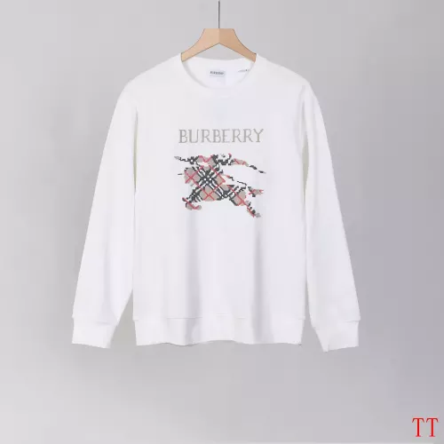 Burberry Hoodies Long Sleeved For Men #1350173